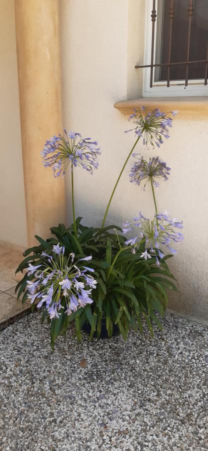 Villa Jasmin Régusse Esterno foto